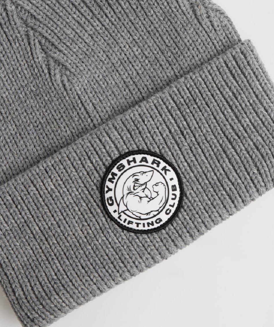 Sombreros Gymshark Legacy Deep Cuff Beanie Accessories Gris Claro | CO 4198NWY